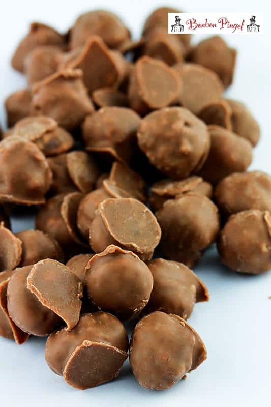 Haselnüsse Vollmilch